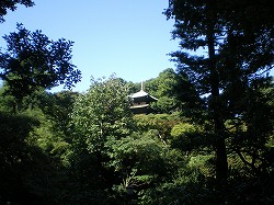 a0055835_1842193.jpg