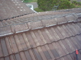 f0031037_19271926.jpg