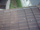 f0031037_1928088.jpg