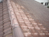 f0031037_1930371.jpg