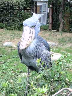 f0058042_21301928.jpg