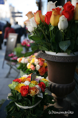 c0024345_2425749.jpg
