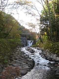 d0109356_13542027.jpg
