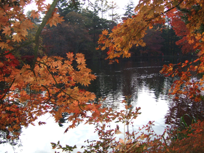 b0045357_8172372.jpg