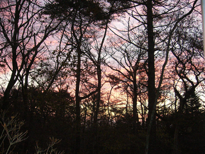 b0045357_895324.jpg
