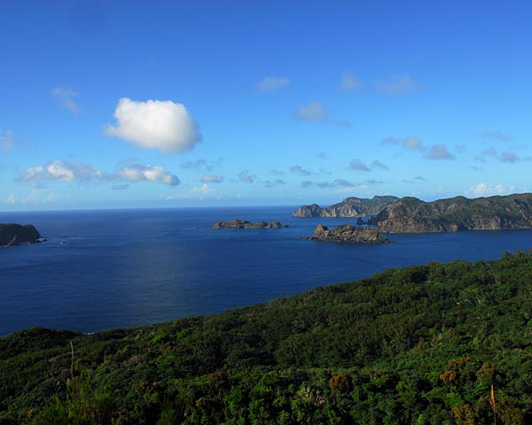 e0035757_17331329.jpg