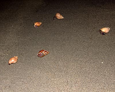 e0035757_17354630.jpg
