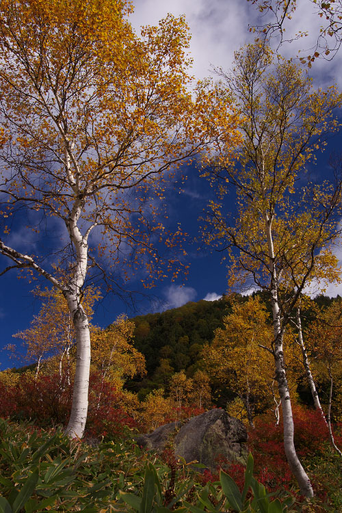 f0036357_175090.jpg