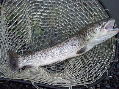 f0073059_14482784.jpg