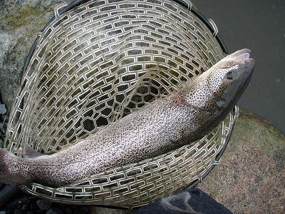 f0073059_14594487.jpg