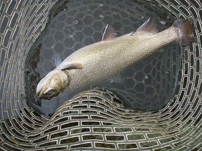 f0073059_15105814.jpg