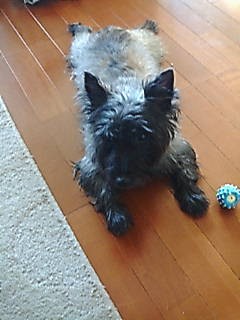 e0030663_052119.jpg