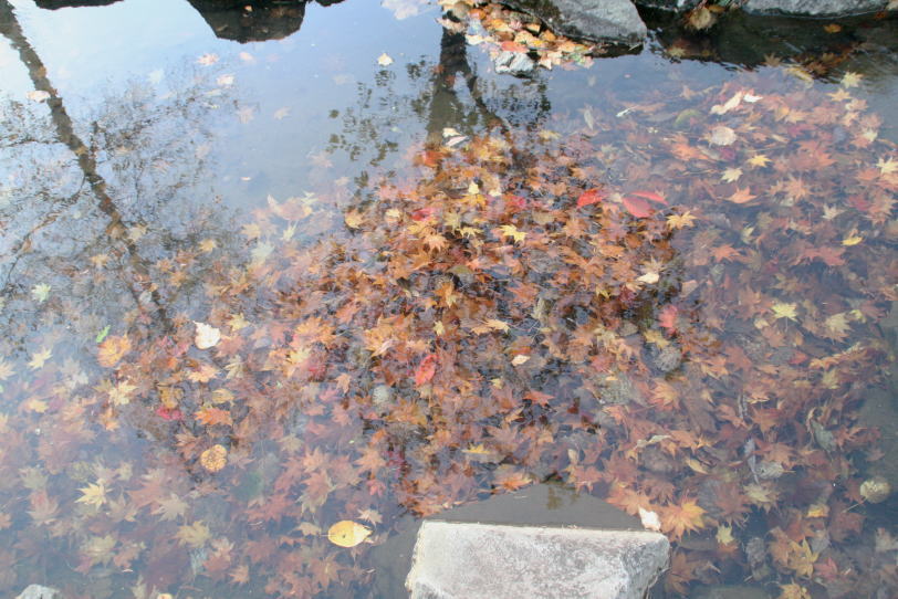 c0112479_22295864.jpg