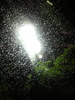 c0048381_21101014.jpg