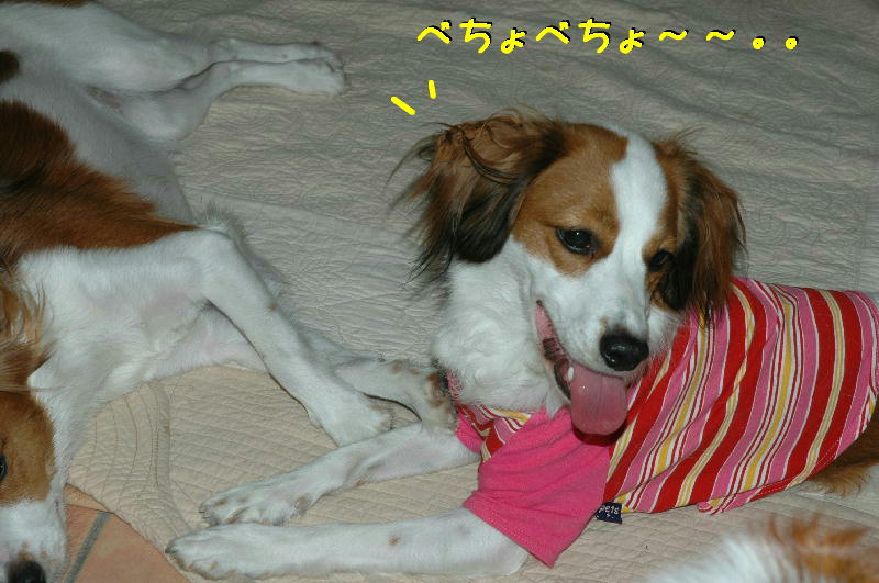 c0075585_0453228.jpg