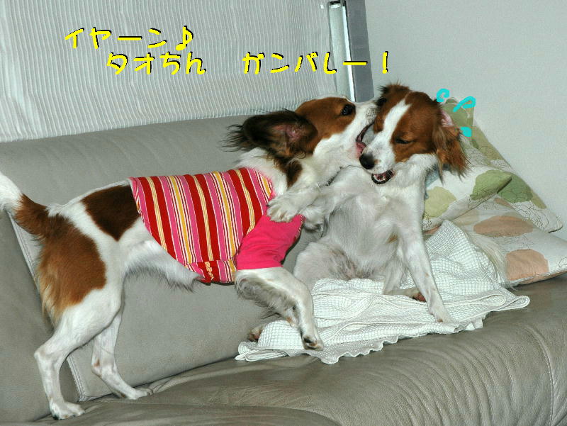 c0075585_0463413.jpg