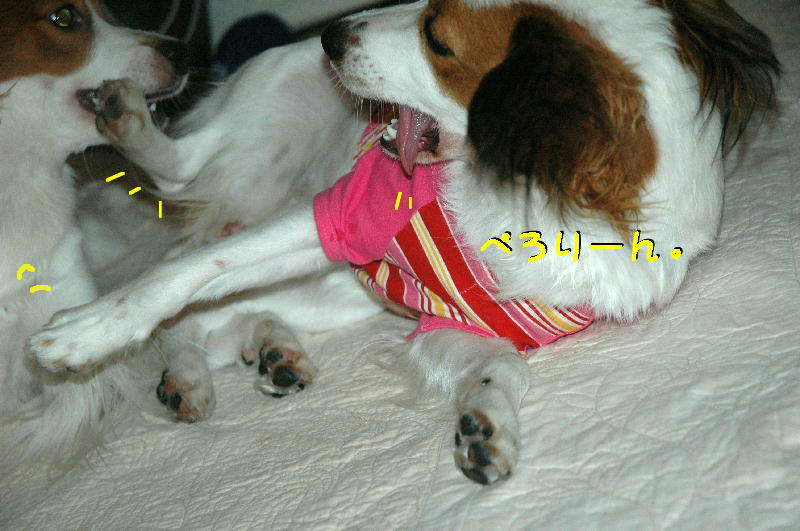 c0075585_050348.jpg