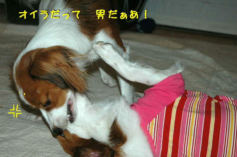 c0075585_0505832.jpg