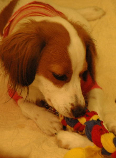 c0075585_0592980.jpg