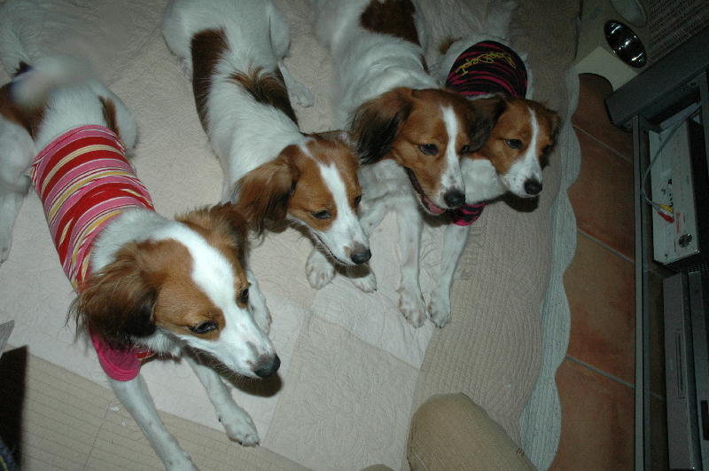 c0075585_10419.jpg