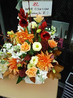 b0007895_21462021.jpg