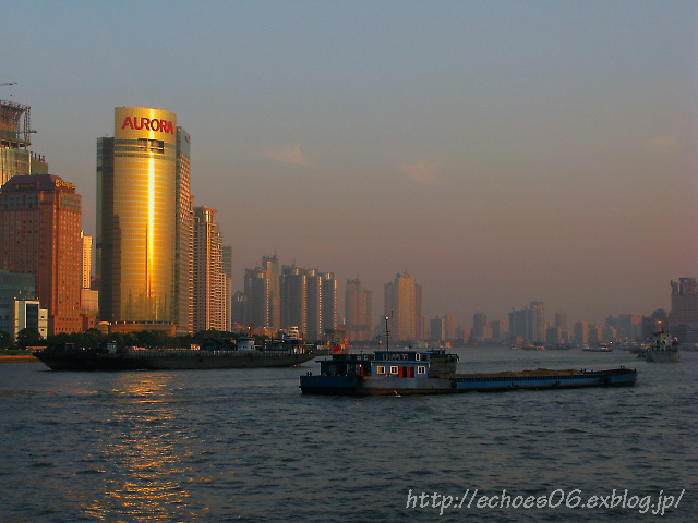 d0069495_07436.jpg