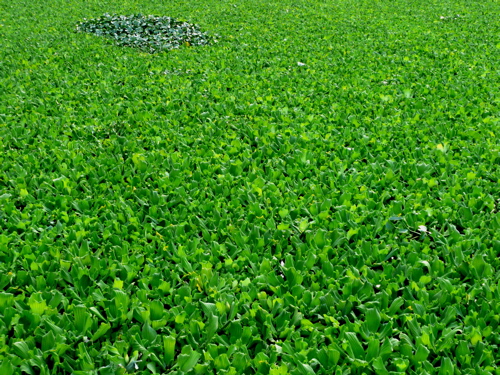f0146198_0115841.jpg