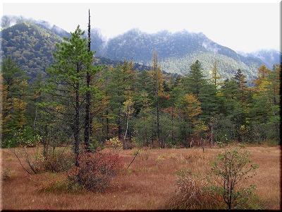 c0125501_2144205.jpg