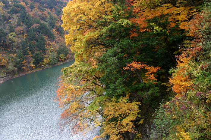 c0089005_23231879.jpg