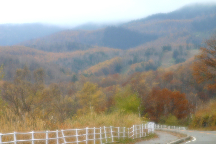 c0089005_2329161.jpg
