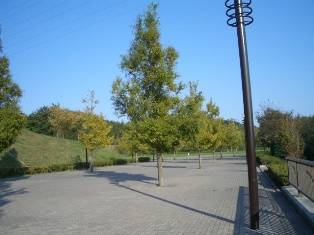 c0132205_17595036.jpg