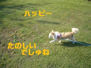 c0132205_1803089.jpg