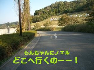 c0132205_1873962.jpg
