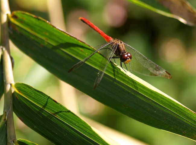 d0129108_8112362.jpg