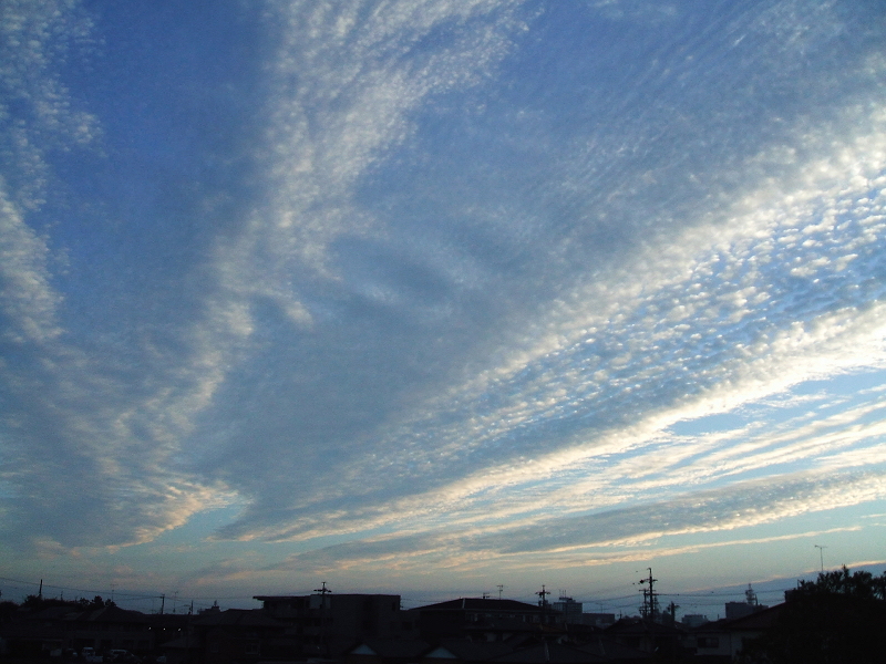 a0030713_21141563.jpg