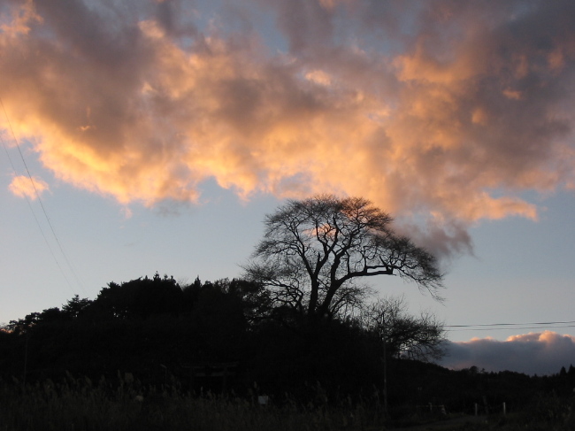 f0143119_2010391.jpg