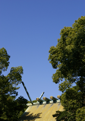 b0118520_419512.jpg