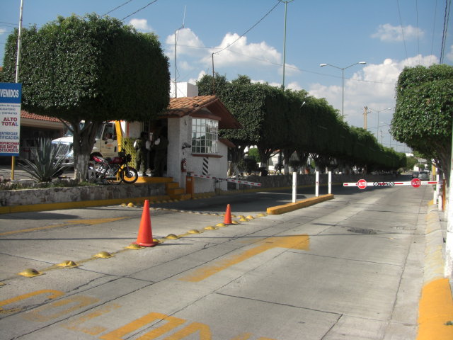 a0110123_1632376.jpg