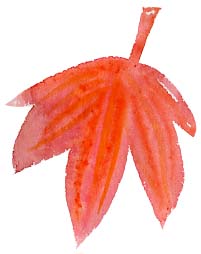 f0135024_1737352.jpg