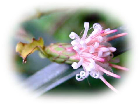 f0147025_16353463.jpg