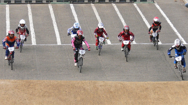 2007JBMXF全日本BMX選手権大会IN大泉緑地VOL11ビギナークルーザー１２才以下クラス決勝画像垂れ流し_b0065730_2150571.jpg