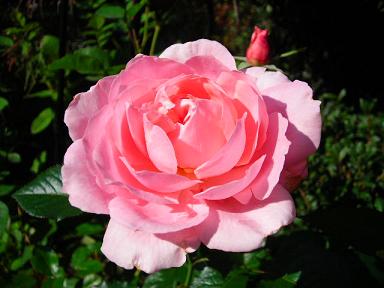 f0063931_1656441.jpg