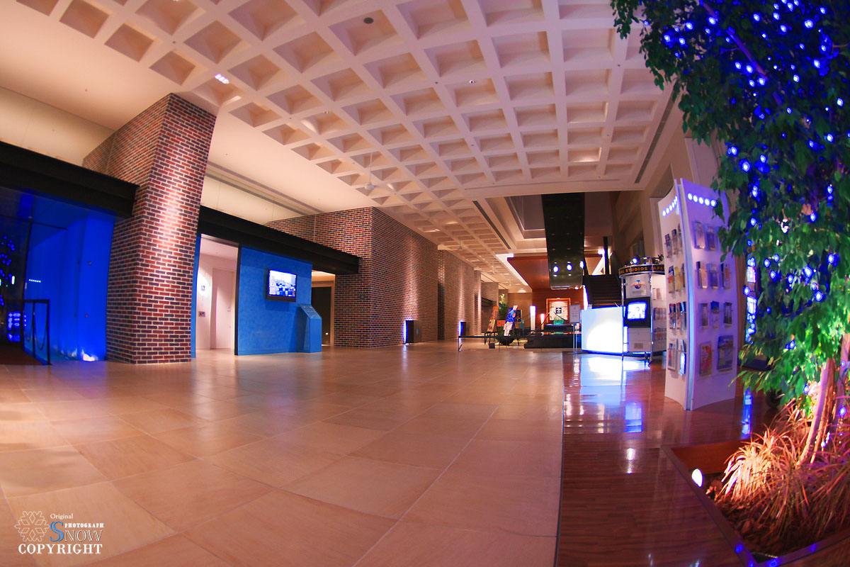 f0005935_22344639.jpg