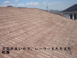 f0031037_21114036.jpg