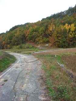 c0145438_20255043.jpg