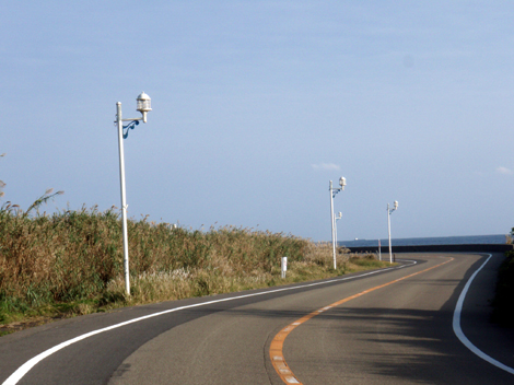 d0110641_19414825.jpg