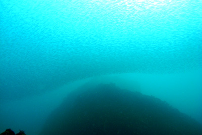 d0058549_1945395.jpg