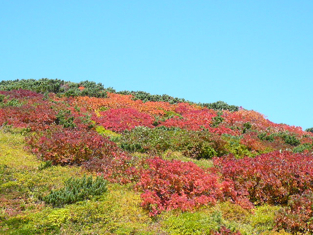c0110550_23485611.jpg
