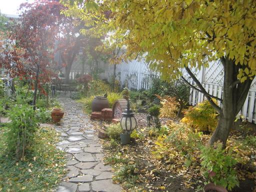 １０月２９日　秋のお庭とあるもので作ったパスタのお夕食_a0075455_9413818.jpg
