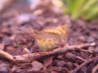 d0096356_13302334.jpg